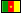 Cameroon flag